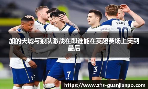 加的夫城与狼队激战在即谁能在英超赛场上笑到最后